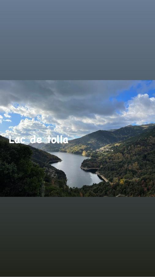 Magnifique Villa Recente Entre Mer Et Montagne Situee Entre Ajaccio Et Porticcio Cauro Dış mekan fotoğraf
