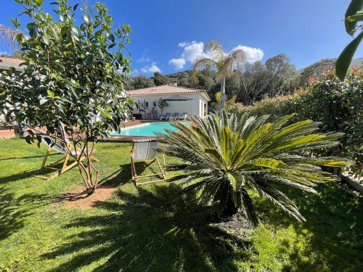 Magnifique Villa Recente Entre Mer Et Montagne Situee Entre Ajaccio Et Porticcio Cauro Dış mekan fotoğraf